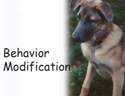 Behavior Modification