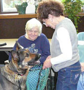 Therapy Dog