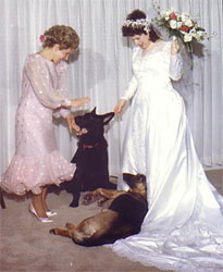 Wedding Dog